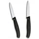 Набор для очистки овощей Victorinox SWISS CLASSIC (2 ножа) 6.7693.2