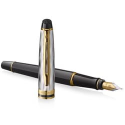 Ручка перьевая Waterman EXPERT Reflections Of Paris GT FP M