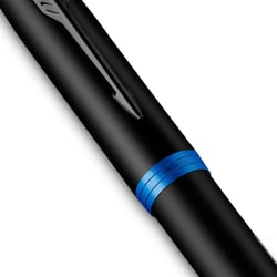 Ручка перьевая Parker IM Professionals Vibrant Rings Marine Blue BT FP F