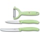 Набір кухонний Victorinox SWISS CLASSIC Paring Set 6.7116.33L42