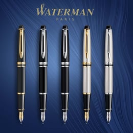 Ручка перова Waterman EXPERT Stainless Steel GT FP F