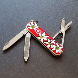 Швейцарский складной нож 58мм Victorinox CLASSIC SD 0.6223.840
