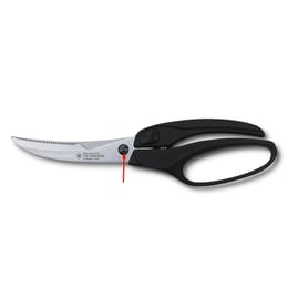 Гвинт із гайкою для ножиць для птиці Victorinox 7.6344.08.10