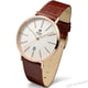 Мужские часы Royal London 41297-03