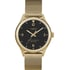Женские часы Timex WATERBURY Tx2t36400