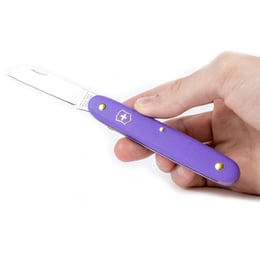 Складаний ніж садовода 100мм Victorinox Floral 3.9050.22B1