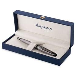 Ручка шариковая Waterman EXPERT Metallic Silver Lacquer RT BP
