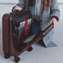 Бизнес-кейс Victorinox Travel SPECTRA 2.0/Beetroot 607093