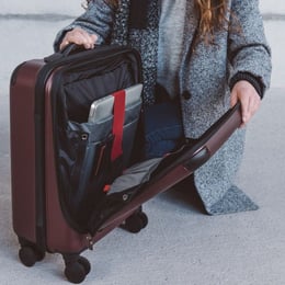Бізнес-кейс Victorinox Travel SPECTRA 2.0/Beetroot 607093