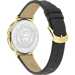 Жіночий годинник Versace DELPHINUS Vre0o00125