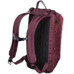 Рюкзак для ноутбука 13″ Victorinox Travel ALTMONT Active/Burgundy 602140