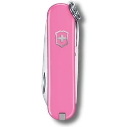 Швейцарский складной нож 58мм Victorinox CLASSIC SD Colors 0.6223.51G